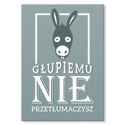 Plakat metalowy Głupiemu nie przetłumaczysz Prezent