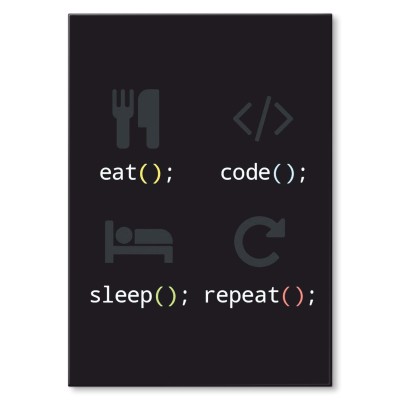 Plakat metalowy Coder Prezent