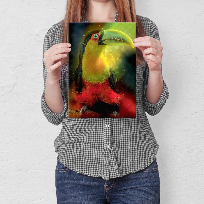 Plakat metalowy Kolorowy tukan Prezent
