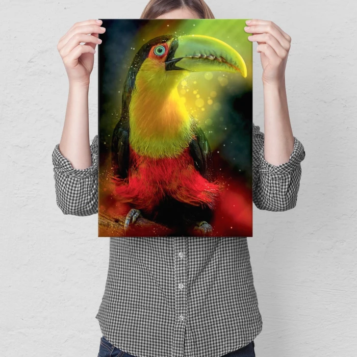 Plakat metalowy Kolorowy tukan Prezent