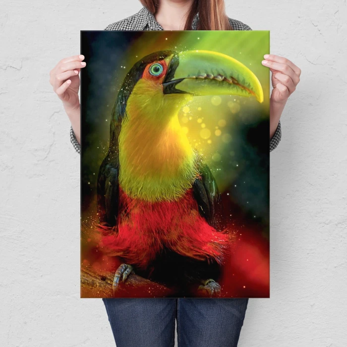 Plakat metalowy Kolorowy tukan Prezent