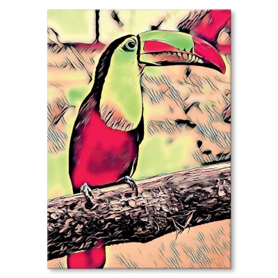 Plakat metalowy Tukan Prezent