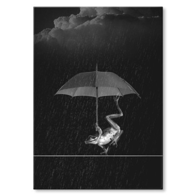 Plakat metalowy Żaba w deszczu Prezent