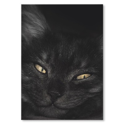 Plakat metalowy Kocurek Prezent