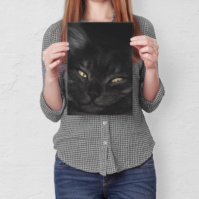 Plakat metalowy Kocurek Prezent
