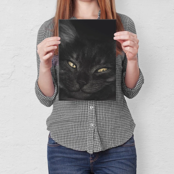 Plakat metalowy Kocurek Prezent