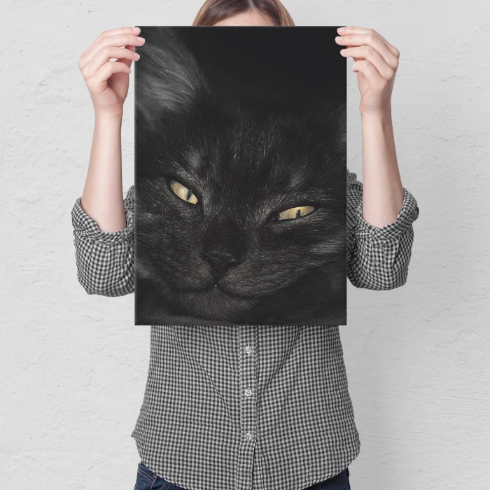 Plakat metalowy Kocurek Prezent