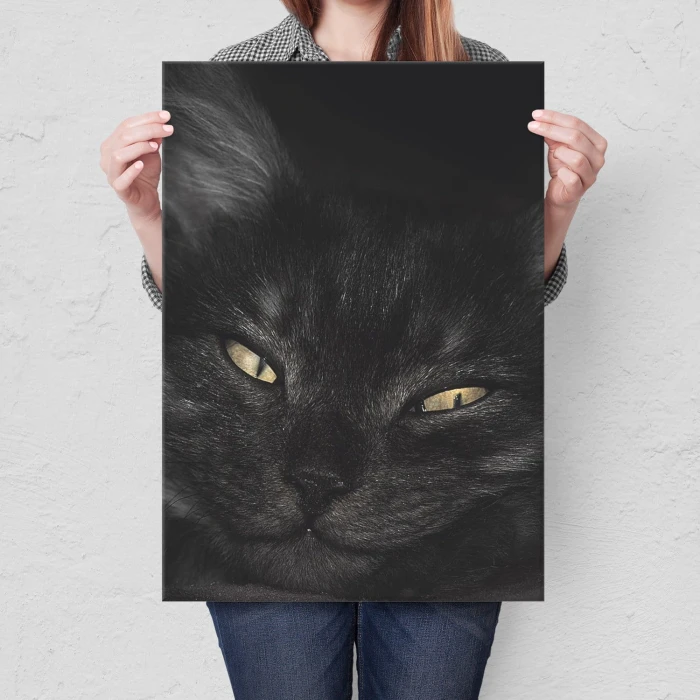 Plakat metalowy Kocurek Prezent