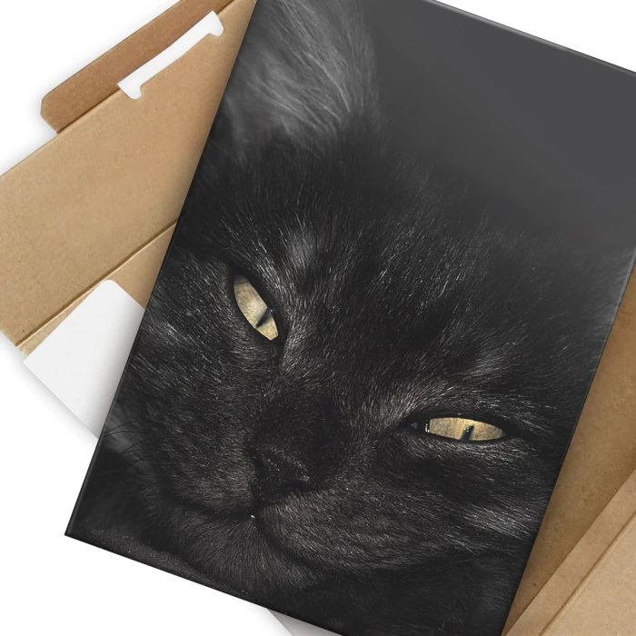 Plakat metalowy Kocurek Prezent