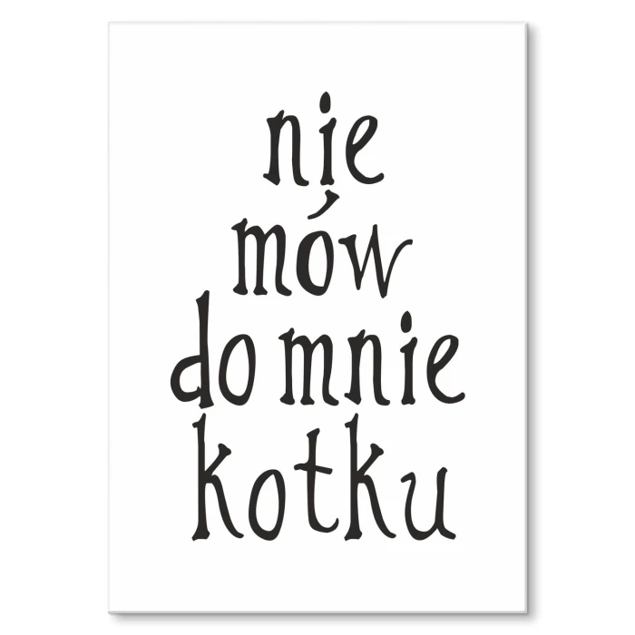 Plakat metalowy Nie mów do mnie kotku Prezent