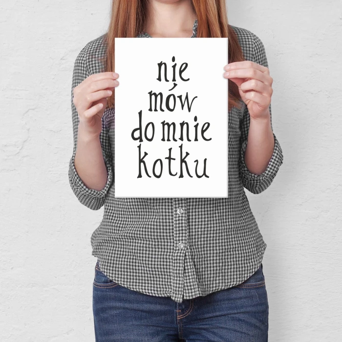 Plakat metalowy Nie mów do mnie kotku Prezent