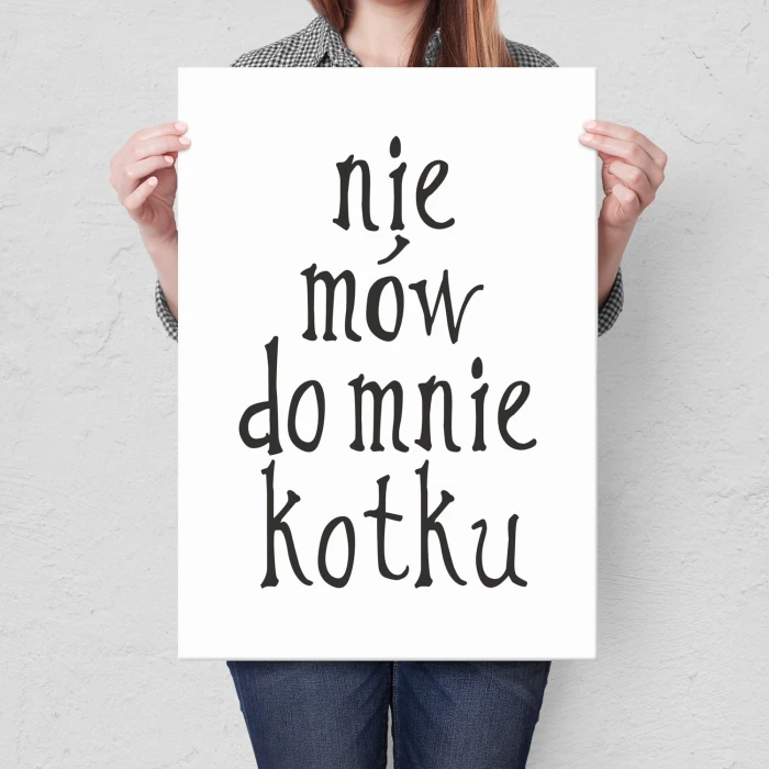 Plakat metalowy Nie mów do mnie kotku Prezent