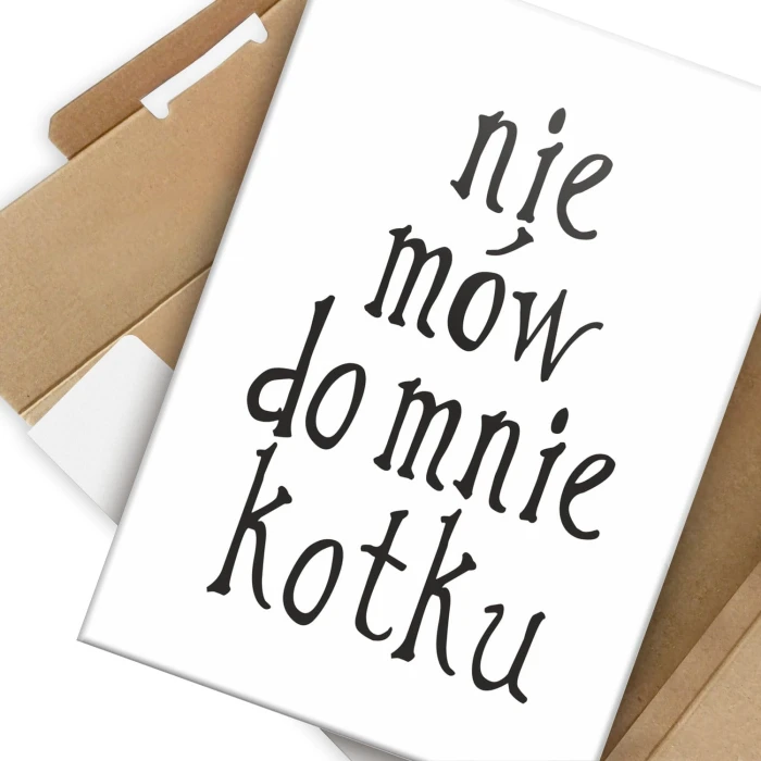 Plakat metalowy Nie mów do mnie kotku Prezent