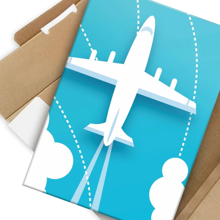 Plakat metalowy Biały samolot Prezent