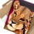 Plakat metalowy Lioness Prezent