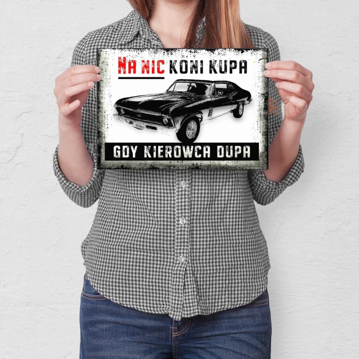 Plakat metalowy na nic koni kupa Prezent