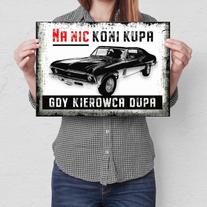 Plakat metalowy na nic koni kupa Prezent