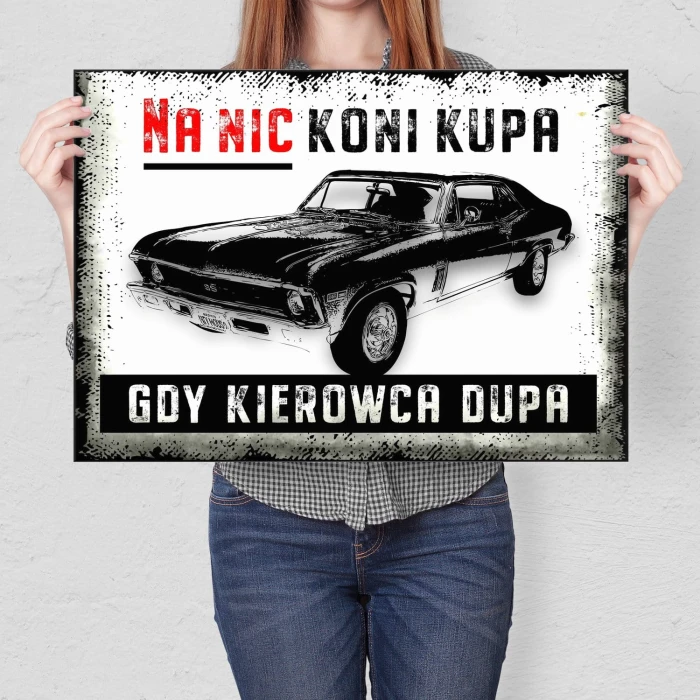 Plakat metalowy na nic koni kupa Prezent