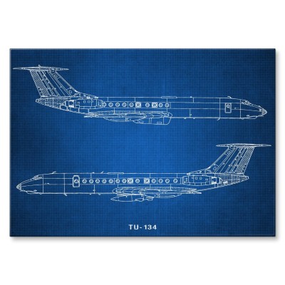 Plakat metalowy Samolot Tupolev TU-134 Prezent