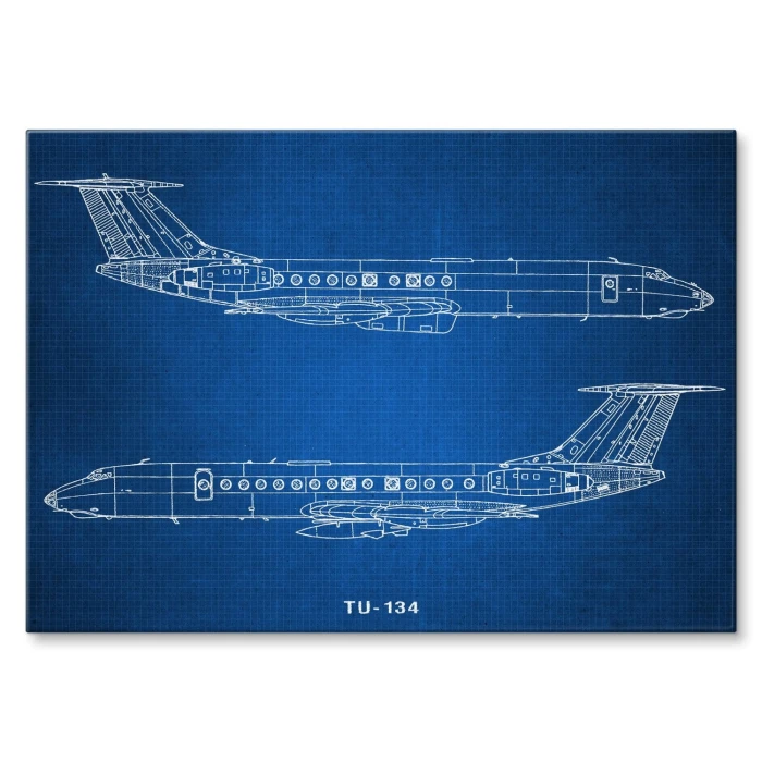 Plakat metalowy Samolot Tupolev TU-134 Prezent