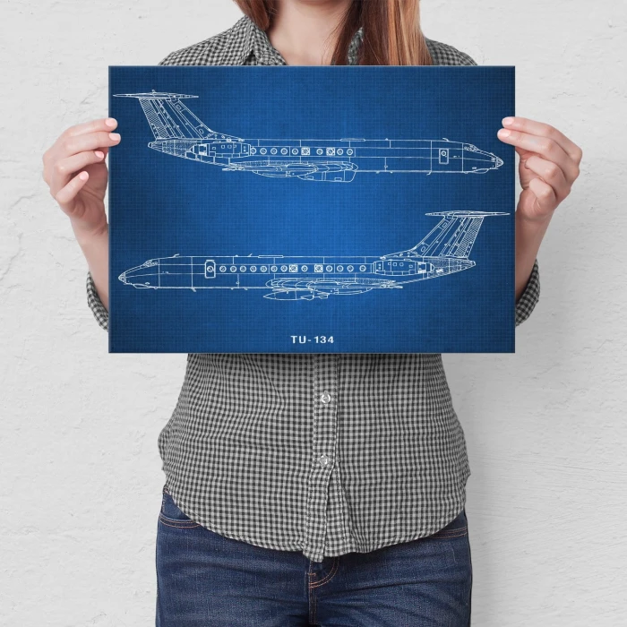 Plakat metalowy Samolot Tupolev TU-134 Prezent