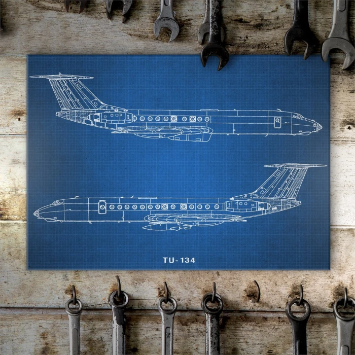 Plakat metalowy Samolot Tupolev TU-134 Prezent