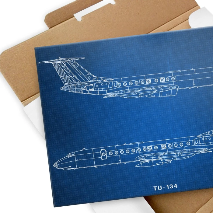 Plakat metalowy Samolot Tupolev TU-134 Prezent