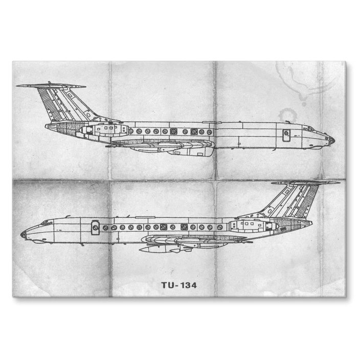 Plakat metalowy Samolot Tupolev TU-134 Prezent