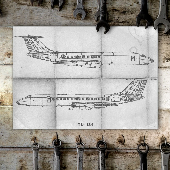 Plakat metalowy Samolot Tupolev TU-134 Prezent