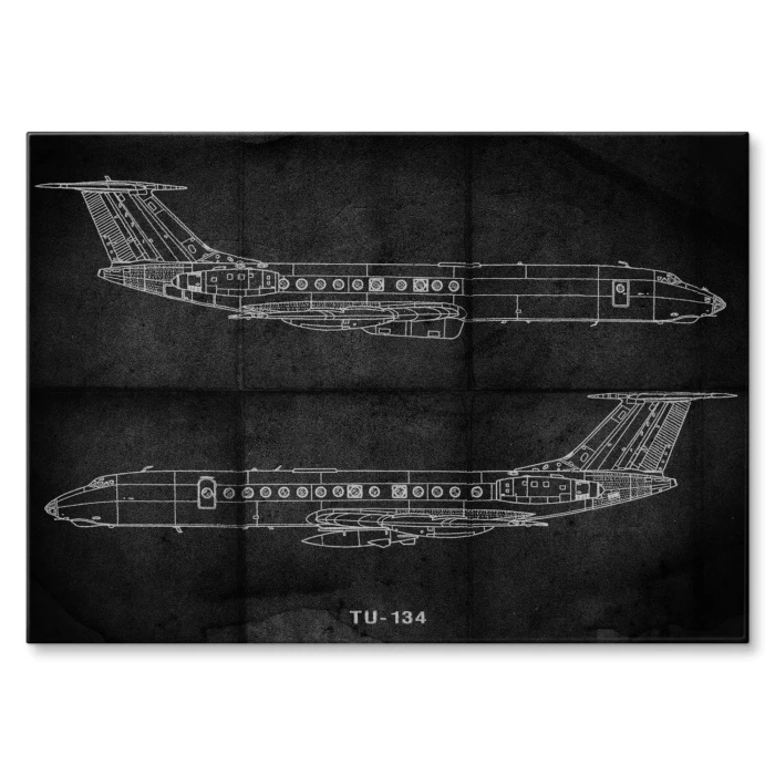 Plakat metalowy Samolot Tupolev TU-134 Prezent