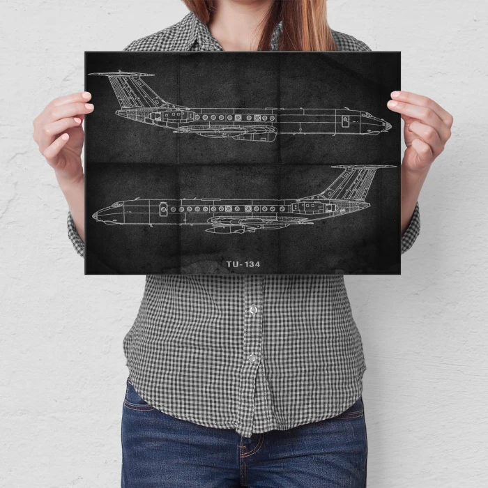 Plakat metalowy Samolot Tupolev TU-134 Prezent