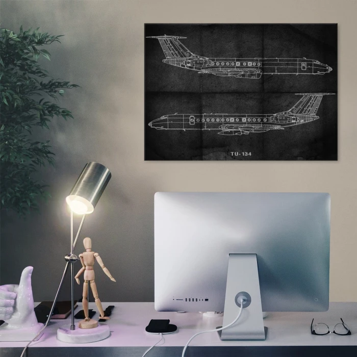 Plakat metalowy Samolot Tupolev TU-134 Prezent