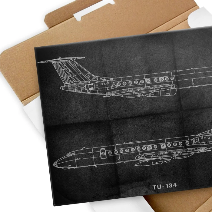 Plakat metalowy Samolot Tupolev TU-134 Prezent