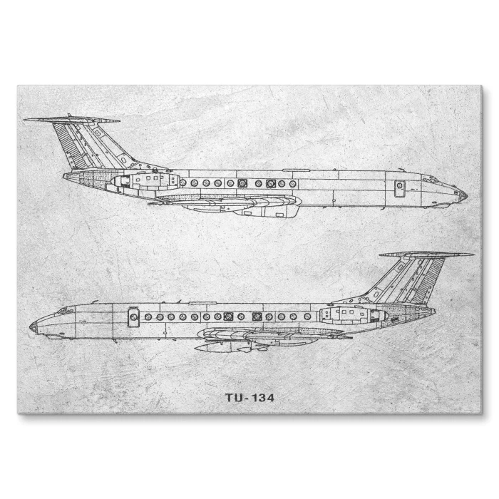 Plakat metalowy Samolot Tupolev TU-134 Prezent