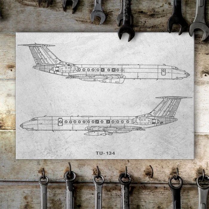 Plakat metalowy Samolot Tupolev TU-134 Prezent