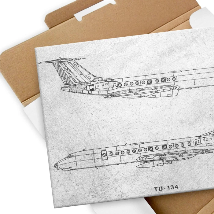 Plakat metalowy Samolot Tupolev TU-134 Prezent