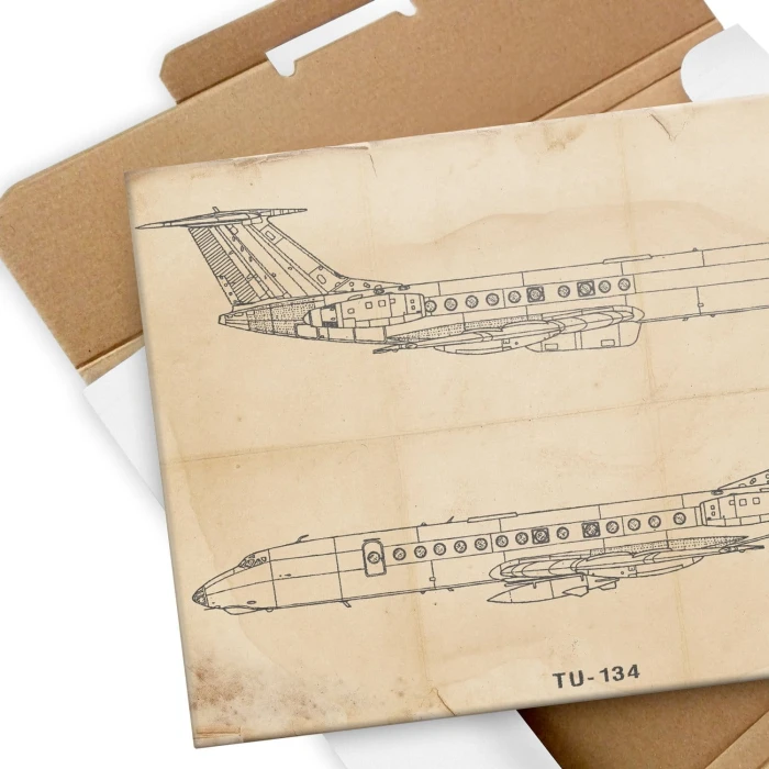 Plakat metalowy Samolot Tupolev TU-134 Prezent