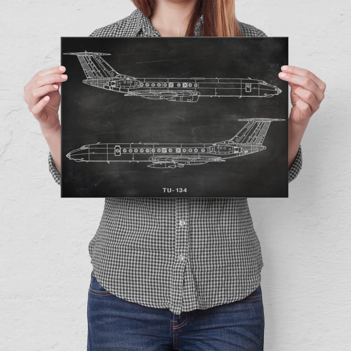 Plakat metalowy Samolot Tupolev TU-134 Prezent