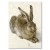 Poster metal Young Hare Durer gift