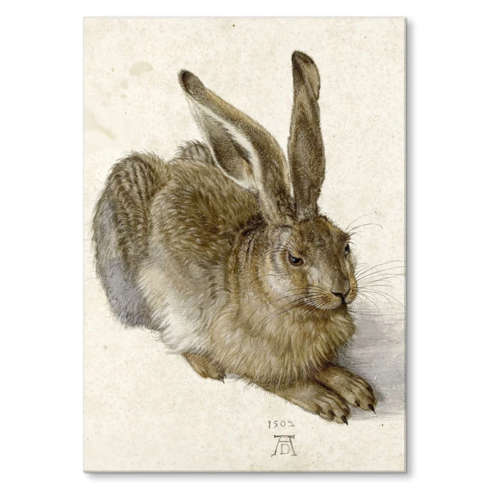 Poster metal Young Hare Durer gift