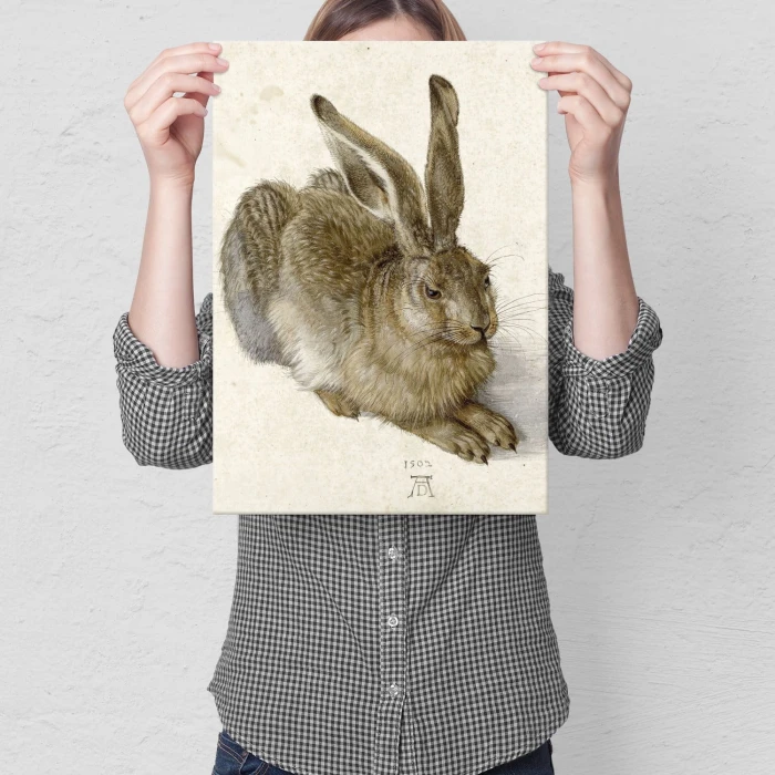 Poster metal Young Hare Durer gift