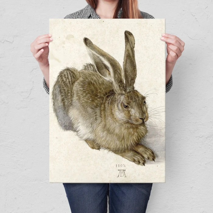 Poster metal Young Hare Durer gift