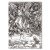 Poster metal Dragon Apocalipse Durer gift