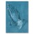 Poster metal Praying hands Durer gift