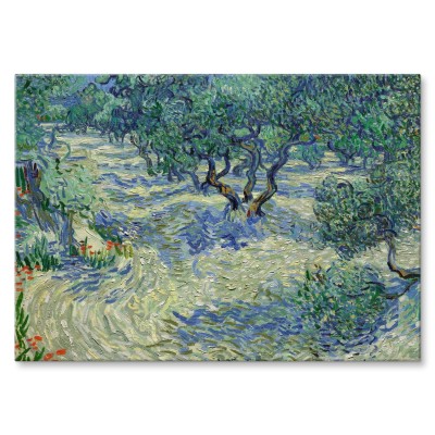 Poster metal Olive orchard van Gogh gift