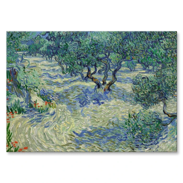 Poster metal Olive orchard van Gogh gift