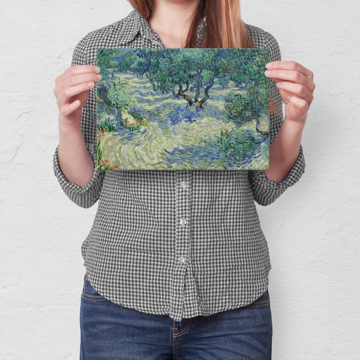 Poster metal Olive orchard van Gogh gift