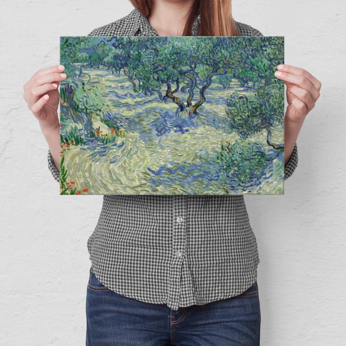 Plakat metalowy Olive orchard van Gogh Prezent