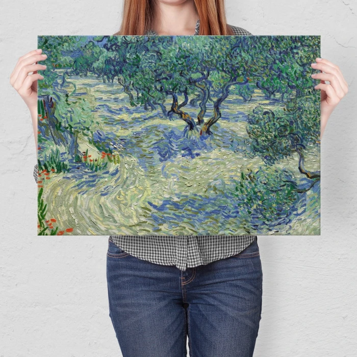 Poster metal Olive orchard van Gogh gift