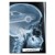 Plakat metalowy Rentgen VW Passat